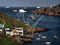 St. John's, the Narrows